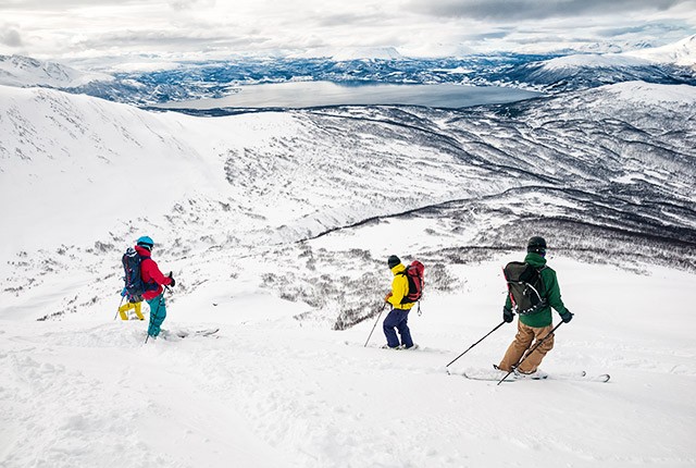 Norway free skiers