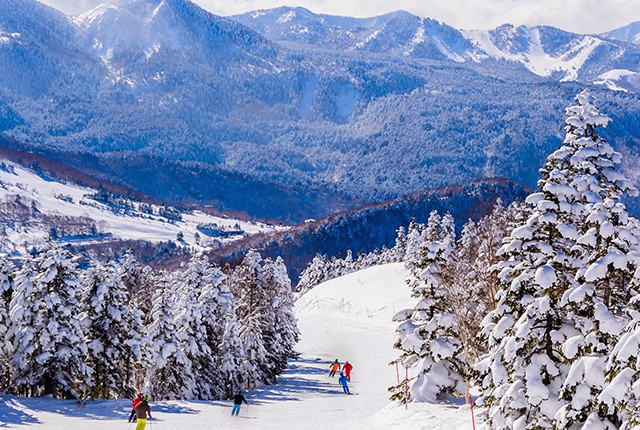 Japan - Shiga Kogen Ski Area.